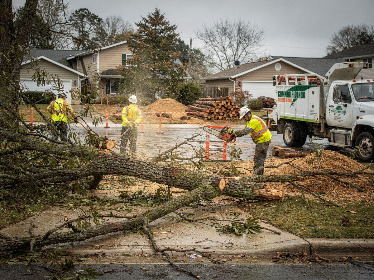 Emergency tree service